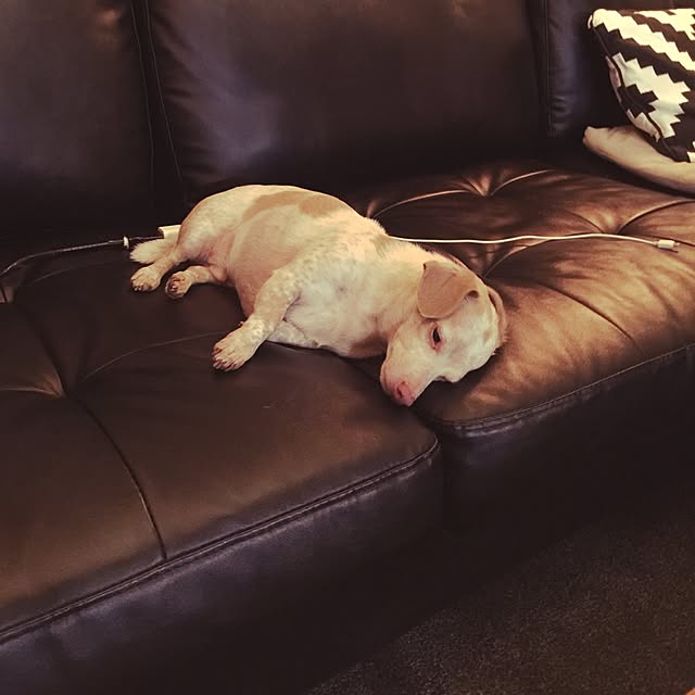 Risaさんの実例写真