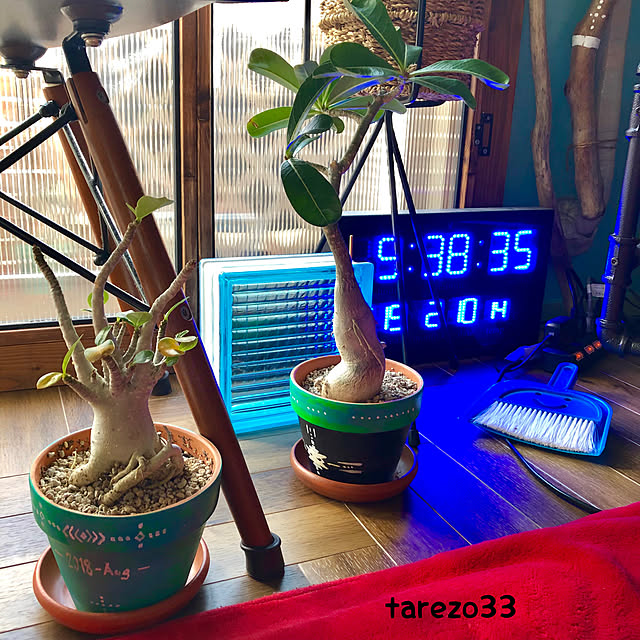 tarezo33さんの実例写真