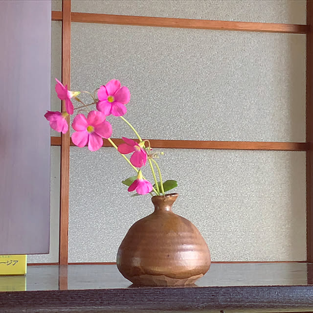 kumiさんの実例写真