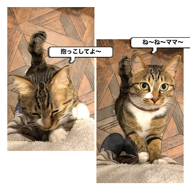 na-sanさんの実例写真