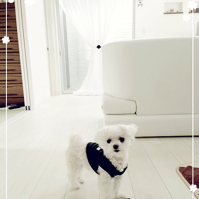 mikiさんの実例写真