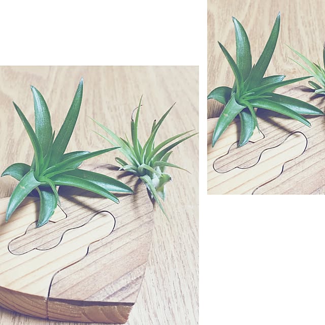 yurinocoさんの実例写真