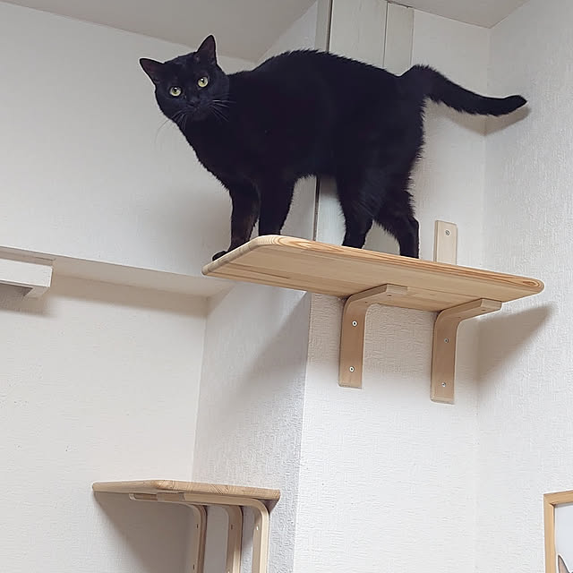 mannaさんの実例写真