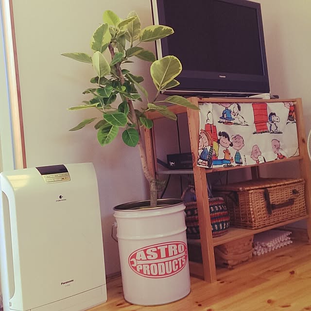 taecoさんの実例写真