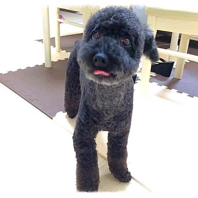 Mさんの実例写真