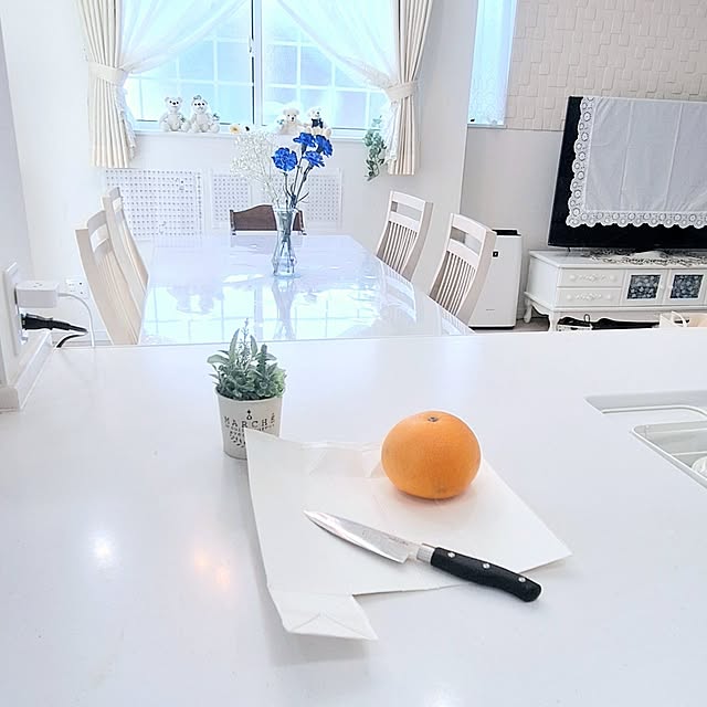 部屋全体/使い方いろいろ/牛乳パック/暮らしの工夫/エコな暮らし...などのインテリア実例 - 2024-05-11 12:16:11