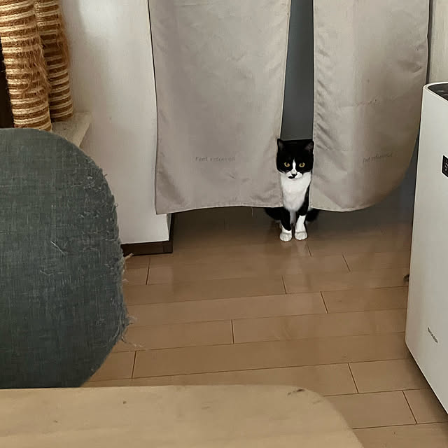 nekoさんの実例写真