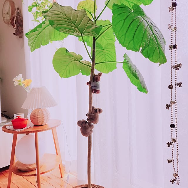 surviveさんの実例写真