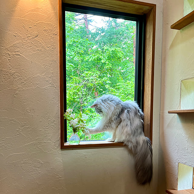 Kikko.さんの部屋
