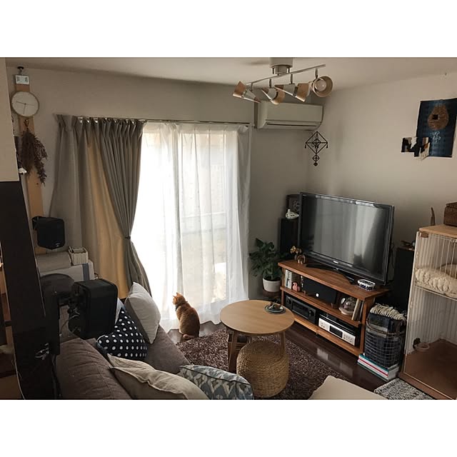 shimanekoさんの実例写真