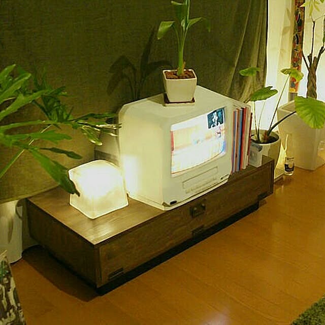 Shinさんの実例写真