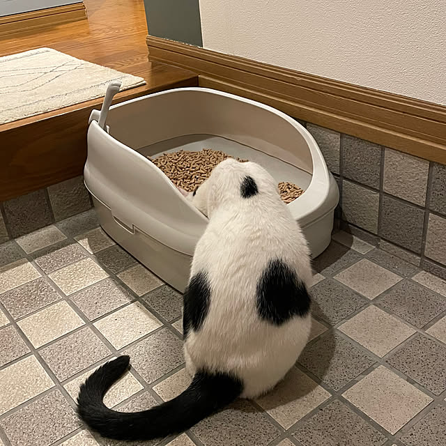 nobikoさんの部屋