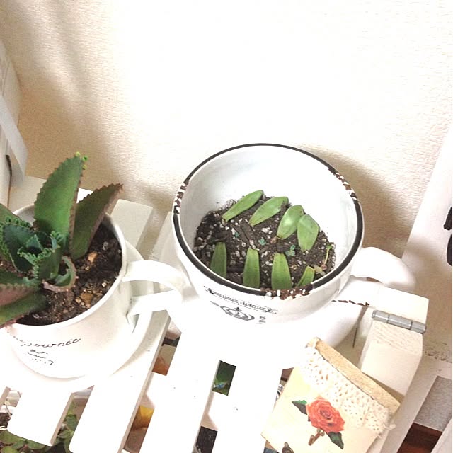 kei.さんの実例写真