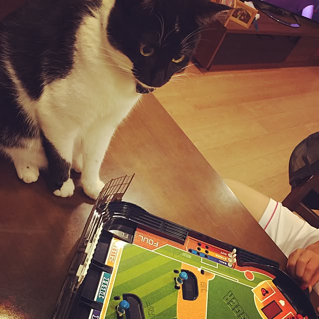 taeさんの実例写真