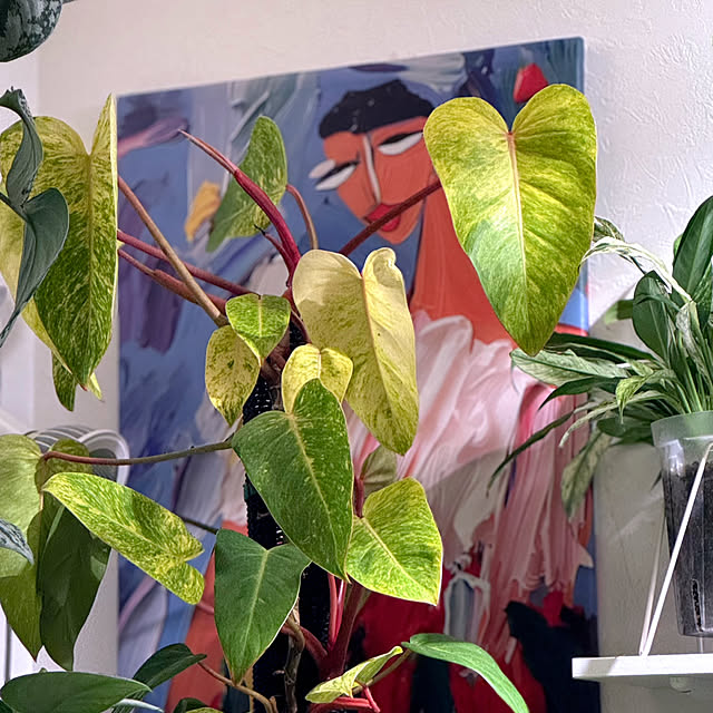 sashiさんの実例写真