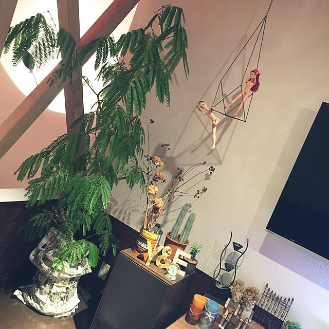 kim_0825さんの実例写真