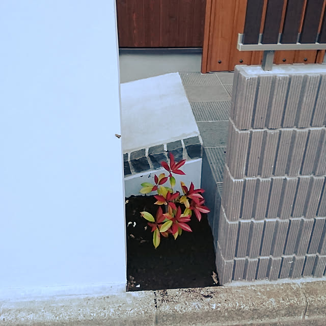 choco_holicさんの実例写真