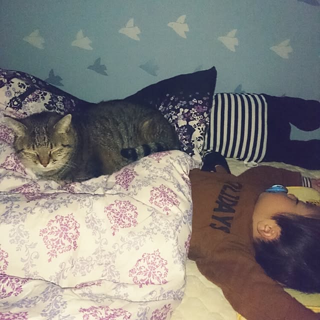 mama26さんの実例写真