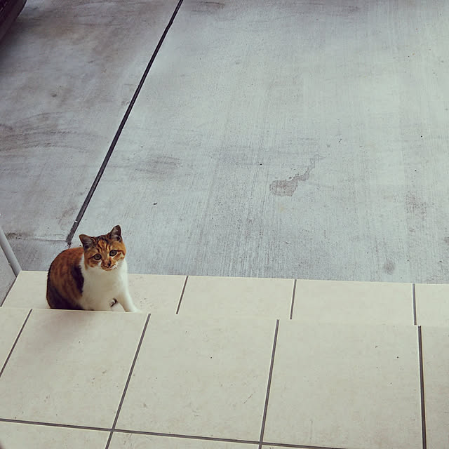 Sakasanさんの実例写真