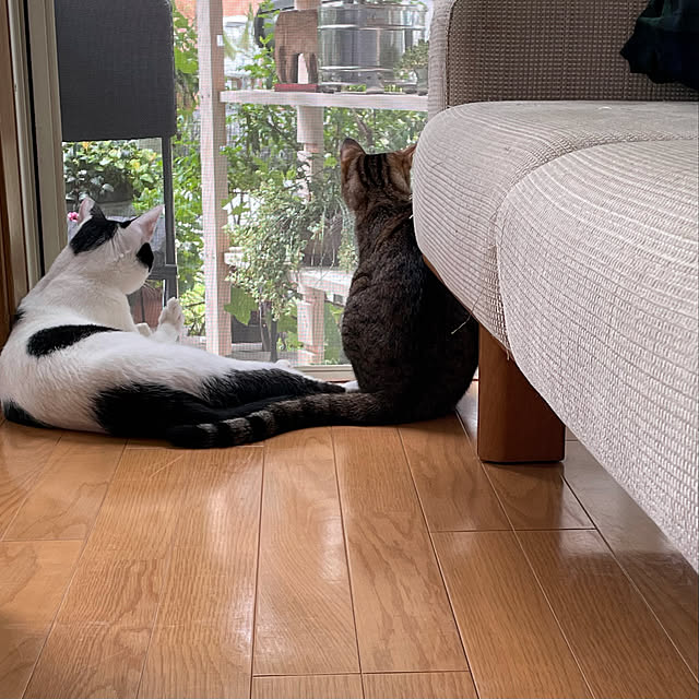 nobikoさんの実例写真