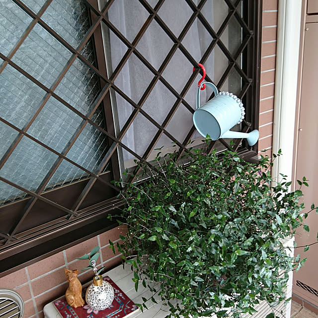 okyosan101さんの実例写真