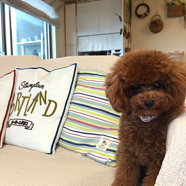 ISM.mumさんの実例写真