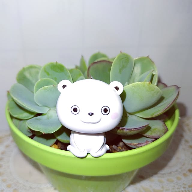 katさんの部屋