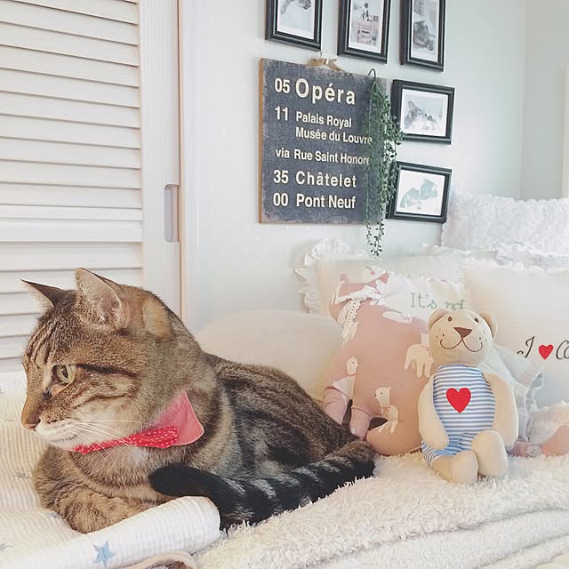 lovecatさんの実例写真