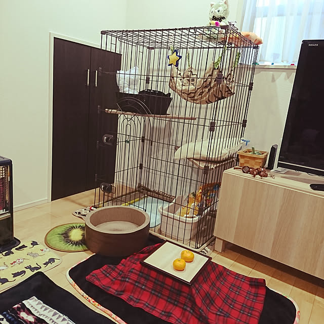 机/ねこが好き/猫こたつ/次男作品/保護猫ちゃんのインテリア実例 - 2019-01-14 16:44:46