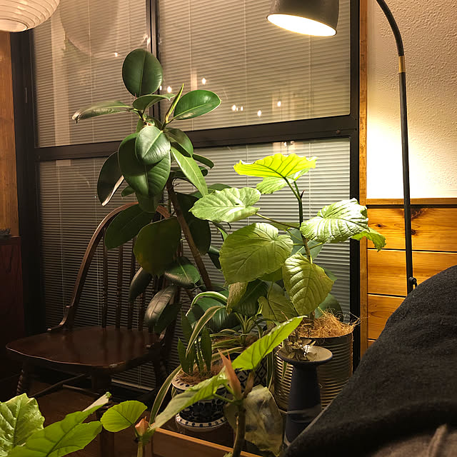 tomoさんの実例写真