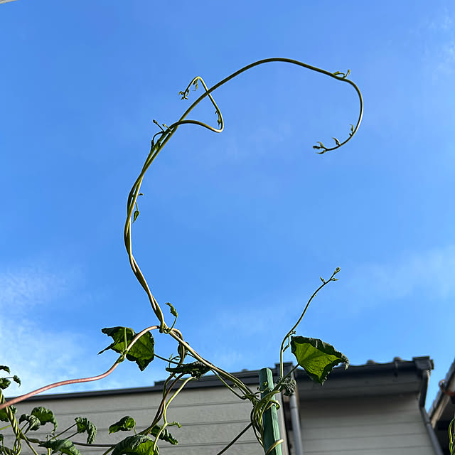 fumikoiさんの部屋