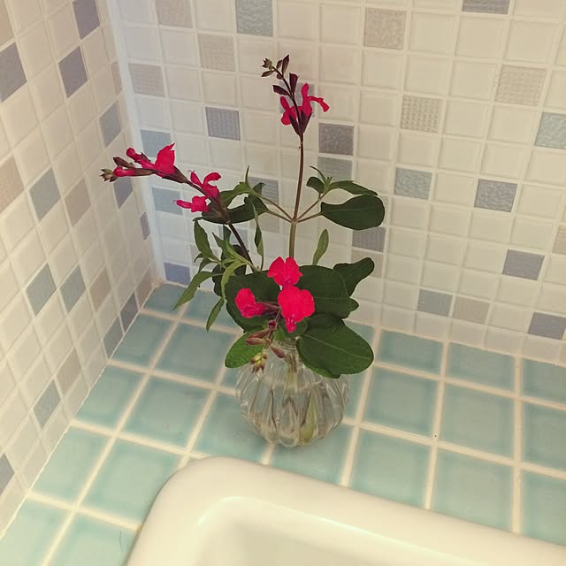 tamoさんの実例写真