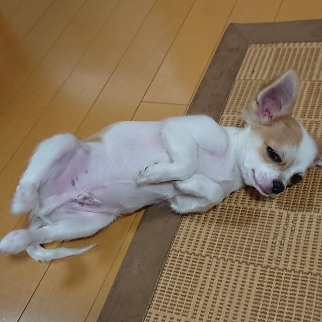 hiro-yさんの実例写真