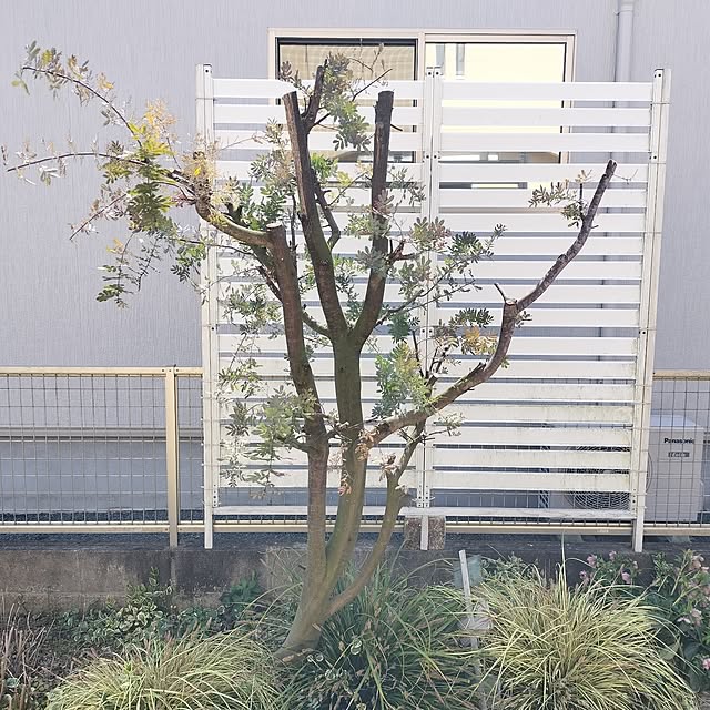 feuileさんの実例写真