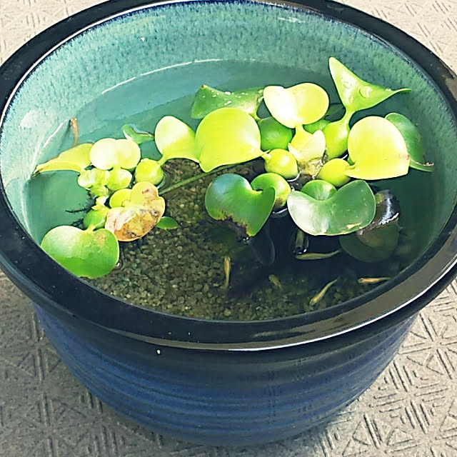 Yoshi55goさんの実例写真