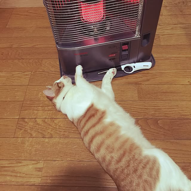 tenさんの実例写真