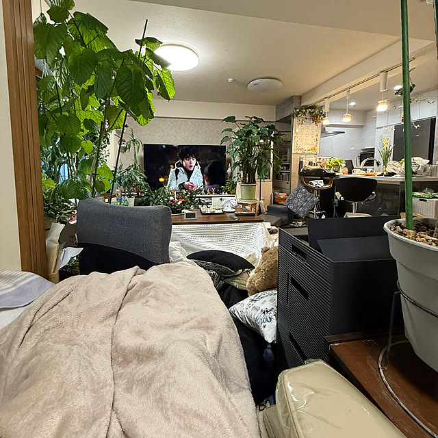 Aqettyさんの部屋