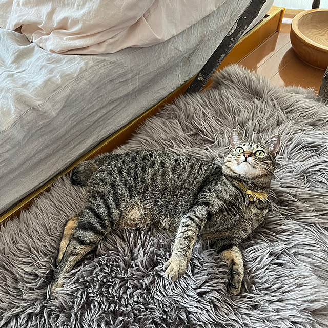 Mさんの部屋