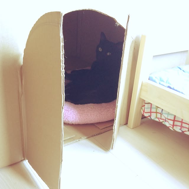 Chia-lingさんの実例写真