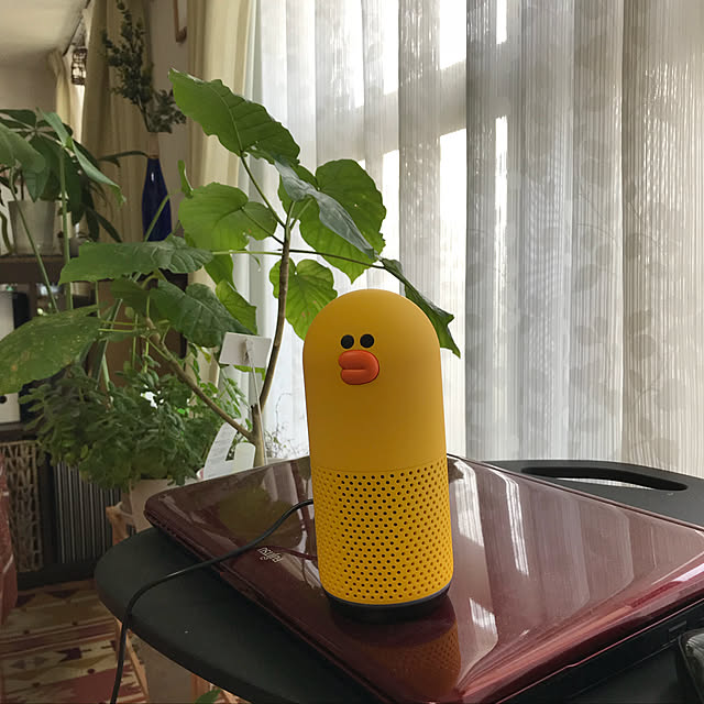 pakilaさんの実例写真