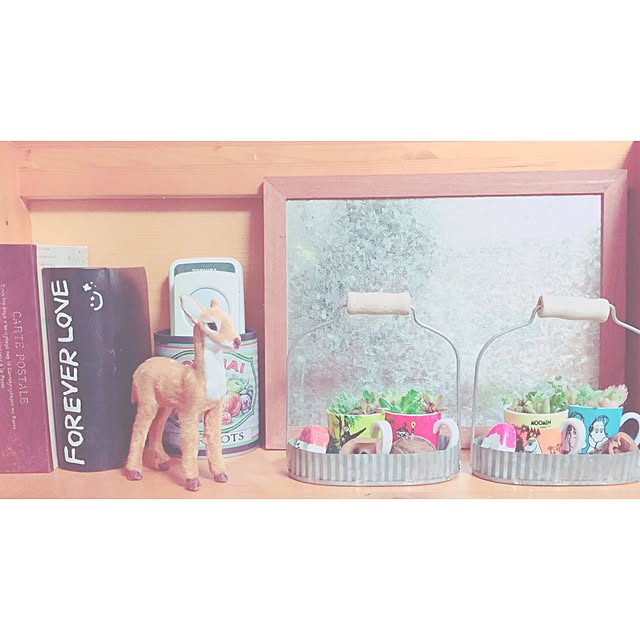Saaraさんの実例写真