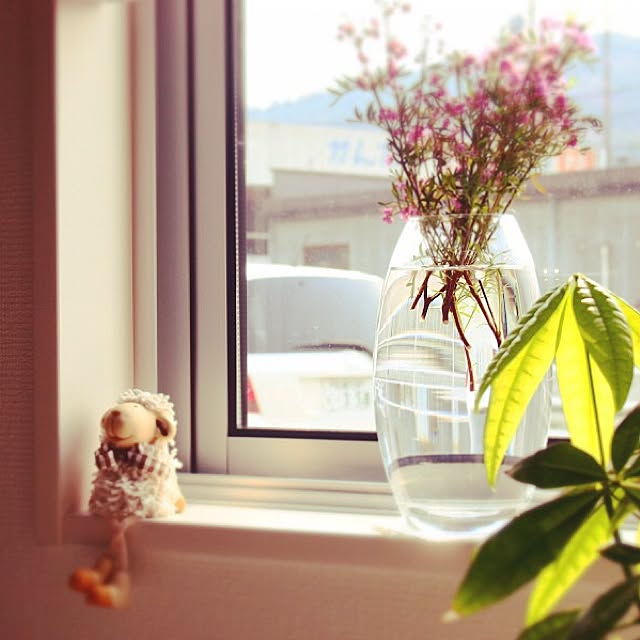 Teruさんの実例写真