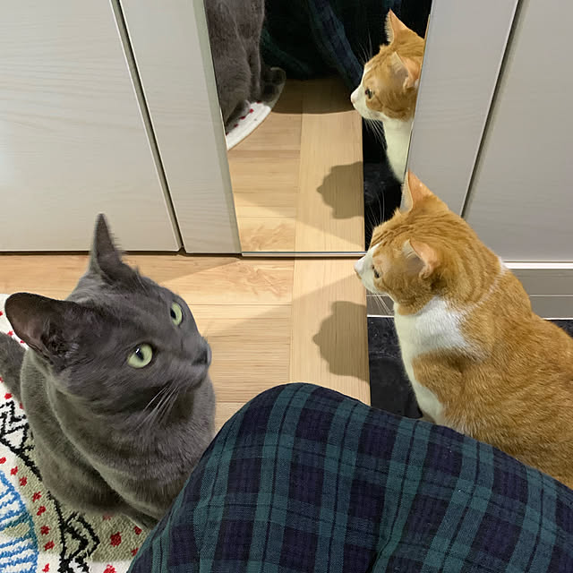 73さんの実例写真