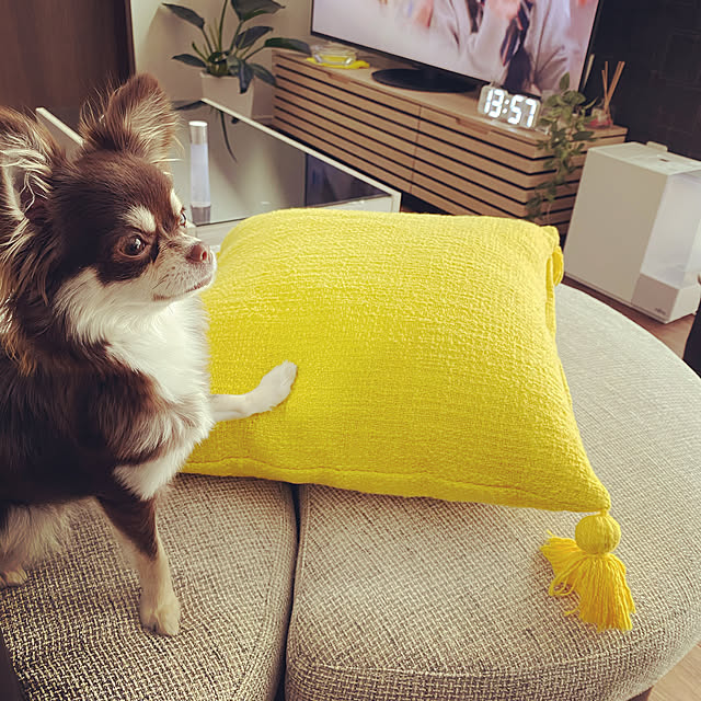 nonotoさんの実例写真