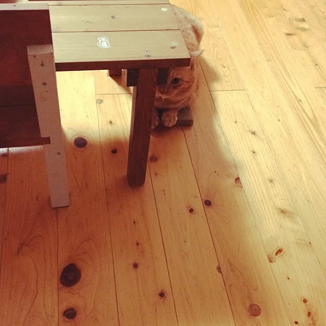 chiimalさんの実例写真