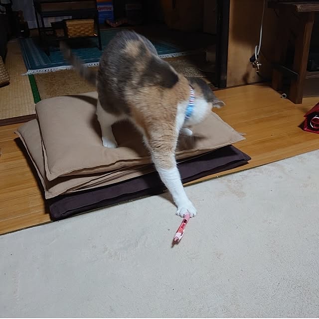 fukuさんの実例写真