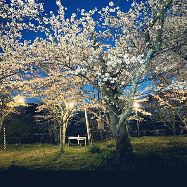 maimaiさんの部屋