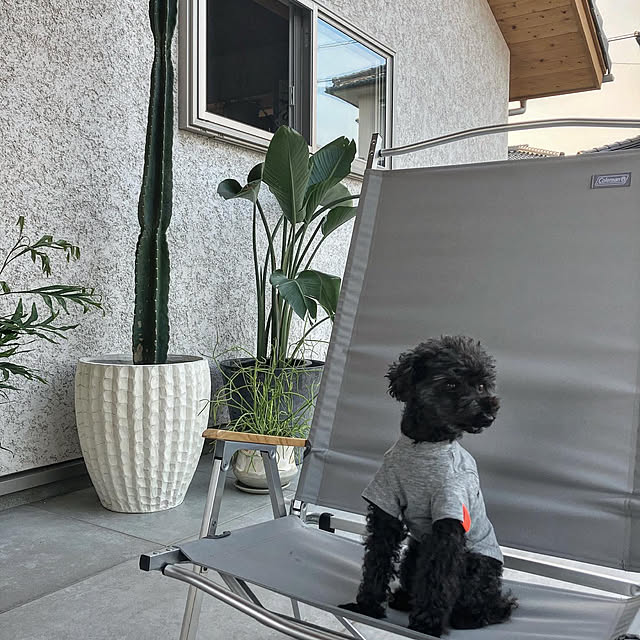 hira_muji_mihiさんの実例写真