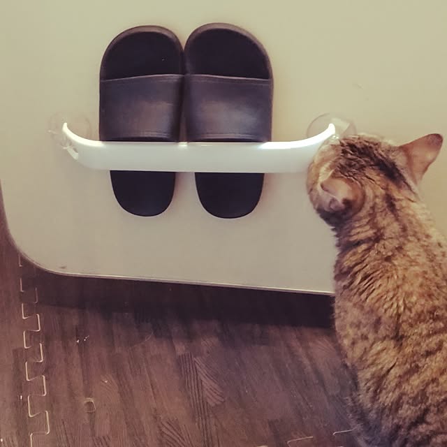 runaさんの部屋