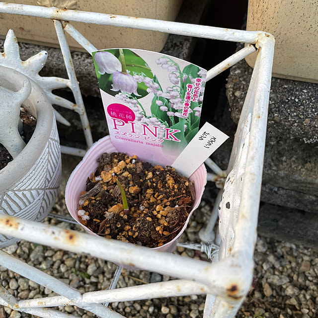 shin0719さんの部屋